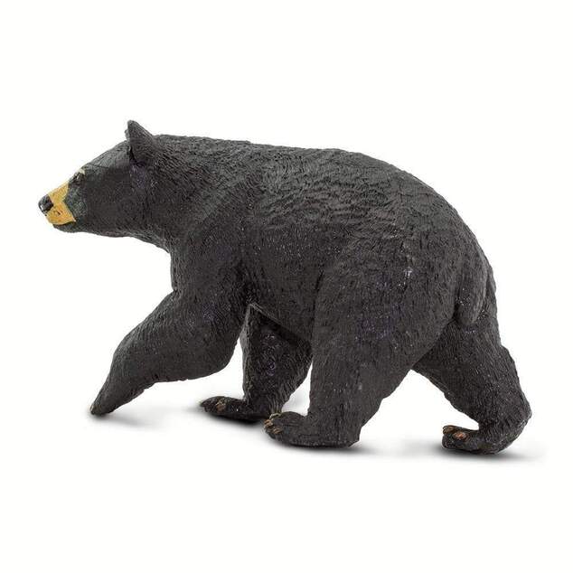 Safari® Čierny medveď