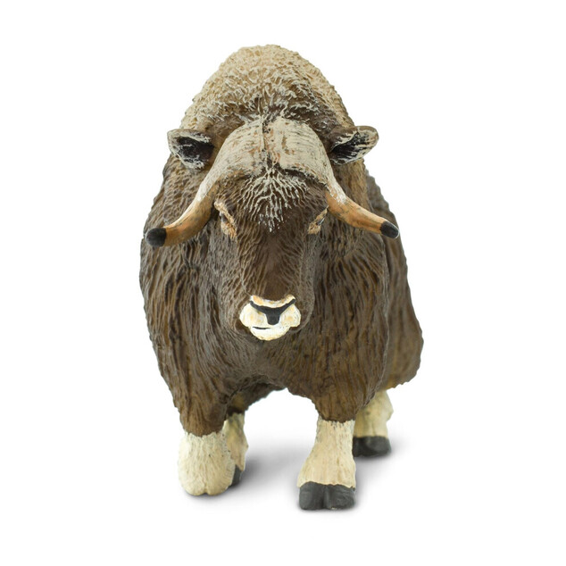Safari® Mufflon