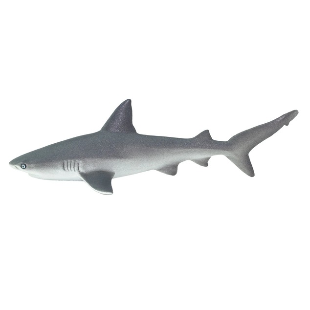 Safari® Grauer Riffhai