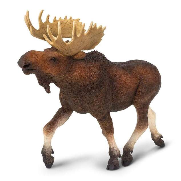 Safari® Los mokraďový XL