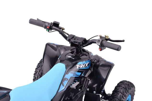 Elektrisches Kinder-Quad Beneo Motors T-REX blau - 1300W