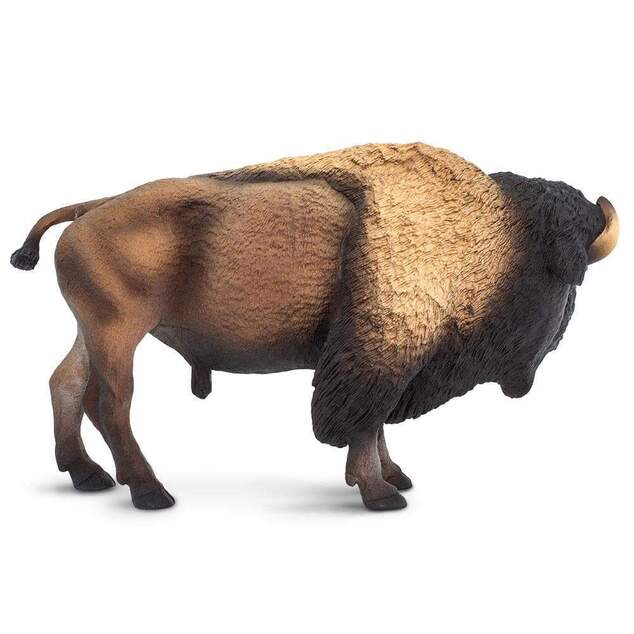 Safari® Bizón americký