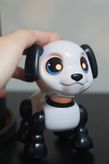 RC Robot Heads Up - Šteňa