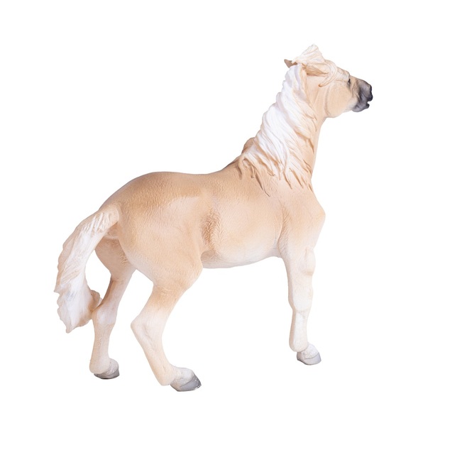 Mojo Kôň Brumby Mare