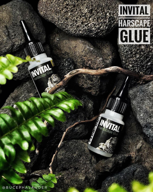 INVITAL HardScape Glue 20 g - lepidlo na dekorácie