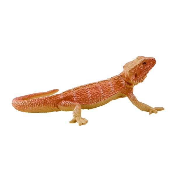 Mojo Agama