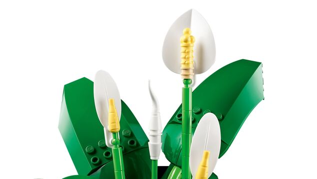 LEGO® Botanicals 11504 Lopatkovec