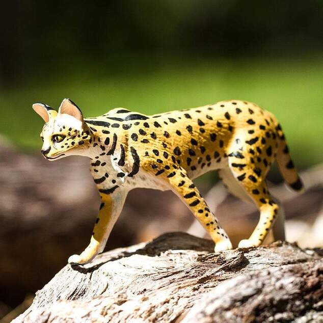 Safari® Serval