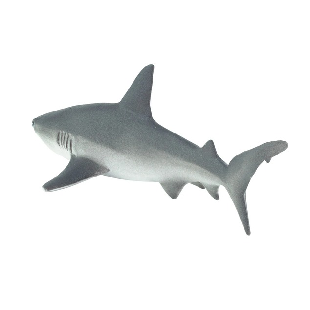 Safari® Grauer Riffhai