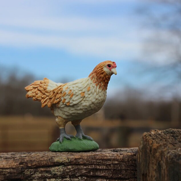 Safari® Sliepka Ameraucana