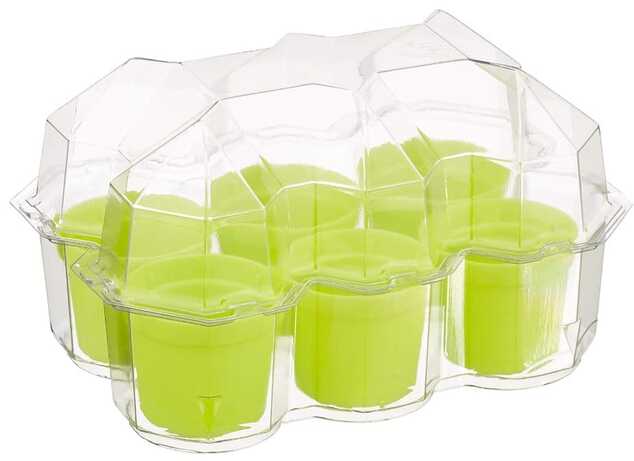 Mimosa - mini serra per bambini
