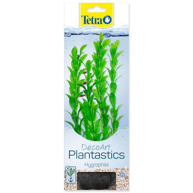 Dekorácia Tetra Rastlina Hygrophila M 23cm