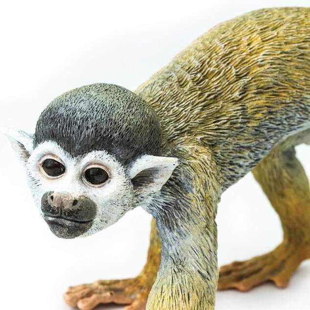 Safari® Kotúľ veveričí opica