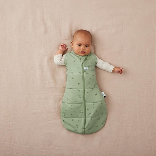 ERGOPOUCH Zavinovačka a vak na spaní 2v1 Cocoon Willow 0-3 m, 3-6 kg, 2,5 tog