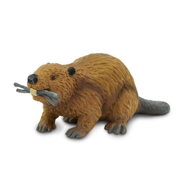 Safari® Bobor