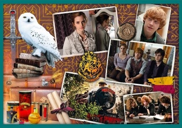 Trefl Puzzle 10v1 -  Vo svete Harryho Pottera