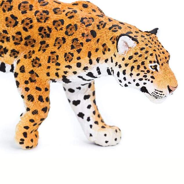 Safari® Jaguár