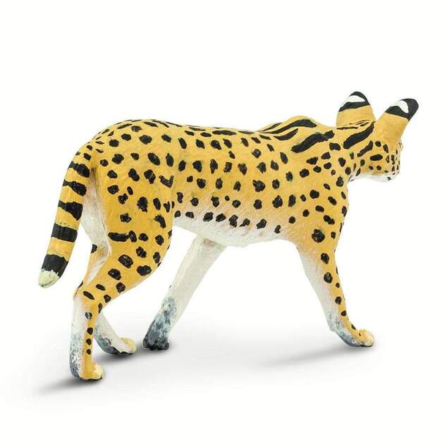 Safari® Serval