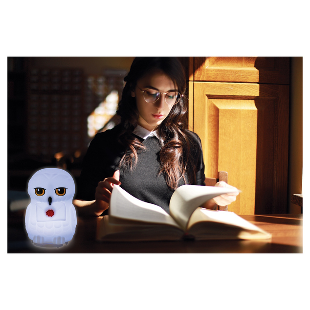 Lexibook Dizajnové nočné svetlo LED 3D Sova Hedviga 20 cm