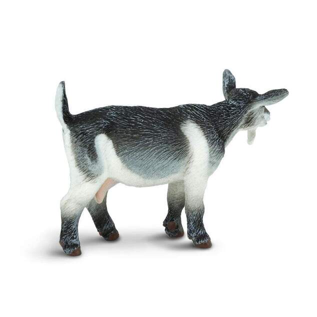 Safari® Koza Pygmy