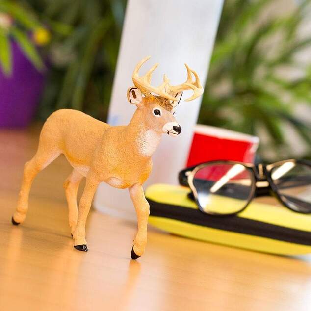 Safari® Jelen bielochvostý XL