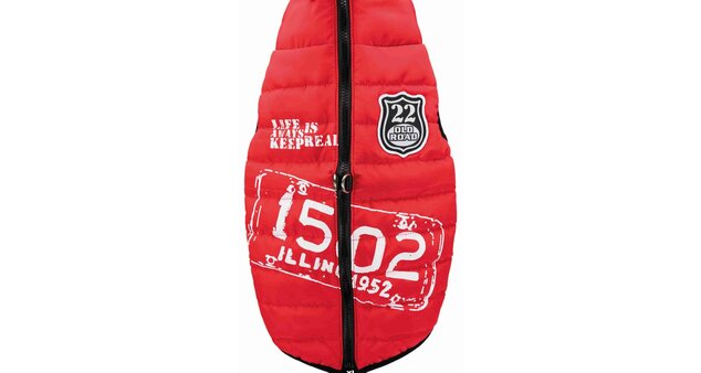Saint-Malo coat with harness, S: 33 cm, red