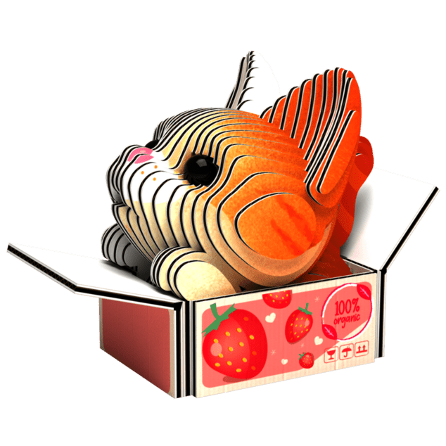 EUGY Kočka Pumpkin 3D kartonová skládačka