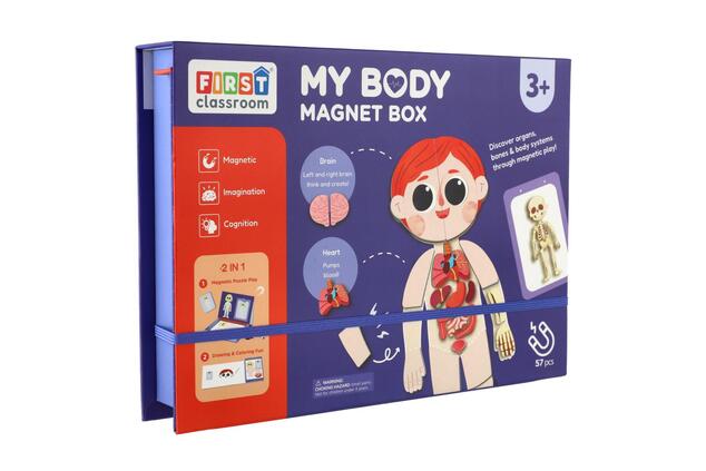 Puzzle magnetico corpo umano