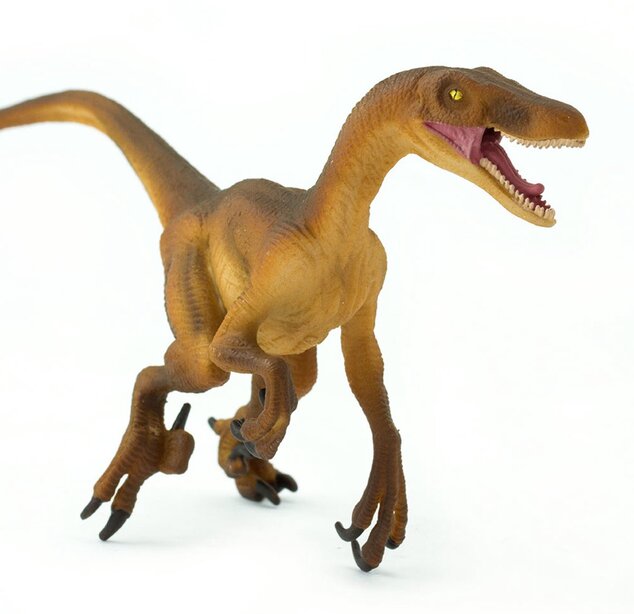 Safari® Velociraptor dinosaurus