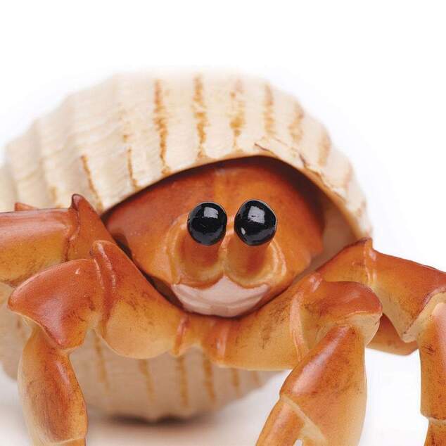 Safari® Krab pustovník