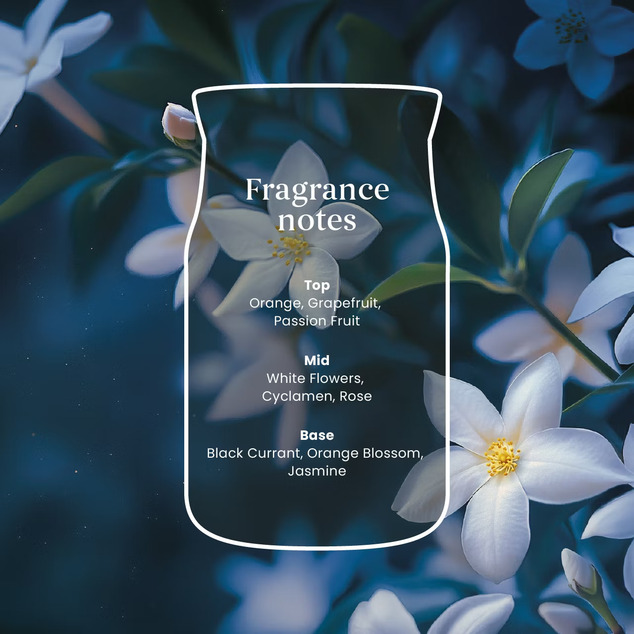 YC Signature Kerze Groß Midnight Jasmine