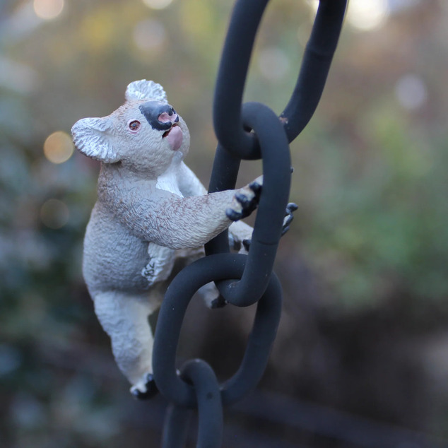 Safari® Koala