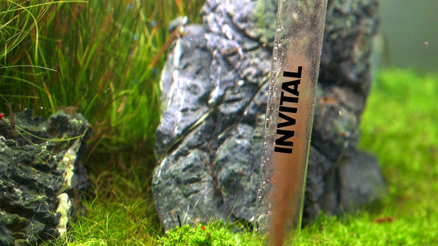 INVITAL AquaSwift súprava na výmenu vody