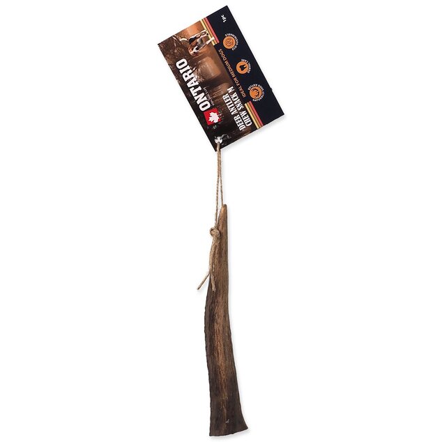 Pochúťka Paroh jeleň M