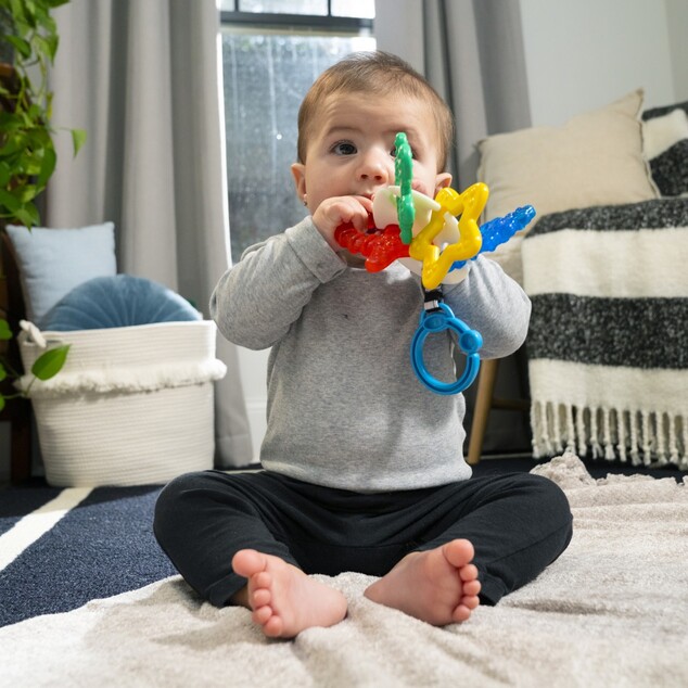 BABY EINSTEIN Ocean Explorers Sea of Sensory™ 3m+ Beißring