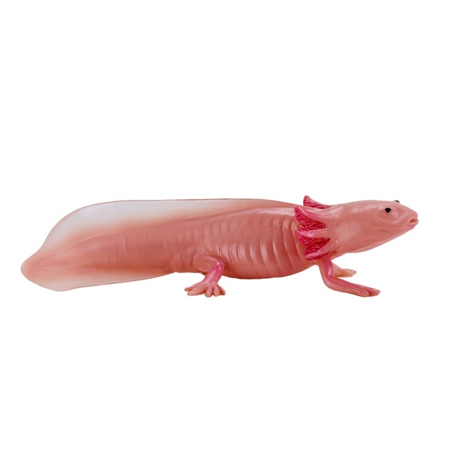 Mon Axolotl