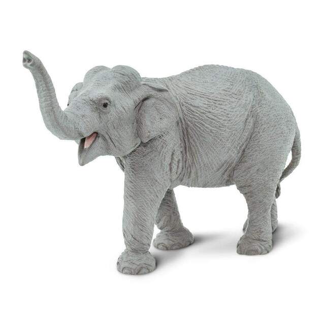 Safari® Slon ázijský