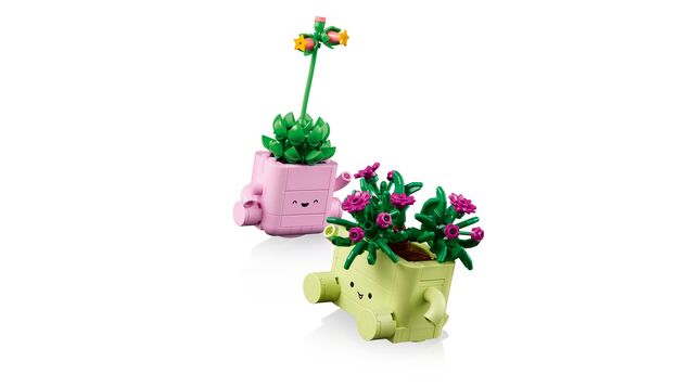 LEGO® Botanicals 11506 Hojdajúce sa rastlinky
