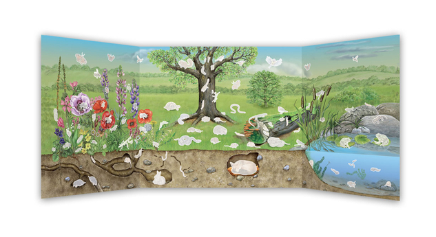WELT DER VÖGEL, INSEKTEN und anderer Tiere unserer Gärten – Buch mit Poster und Aufklebern