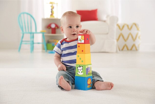 Mattel Fisher Price Tierturm CDC52