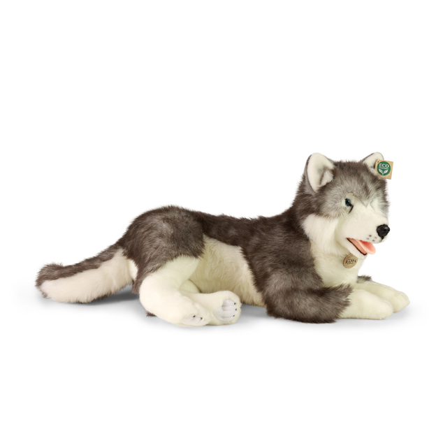 Plišani pas husky ležeći 60 cm EKOLOŠKI PRIJATELJSTVEN.