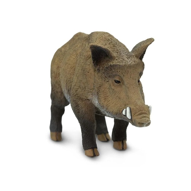 Safari® Diviak lesný