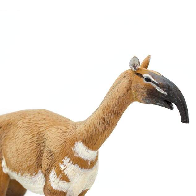 Safari® Macrauchenia