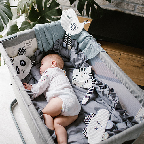 BABYONO Haustierspielzeug Kitty 0m+
