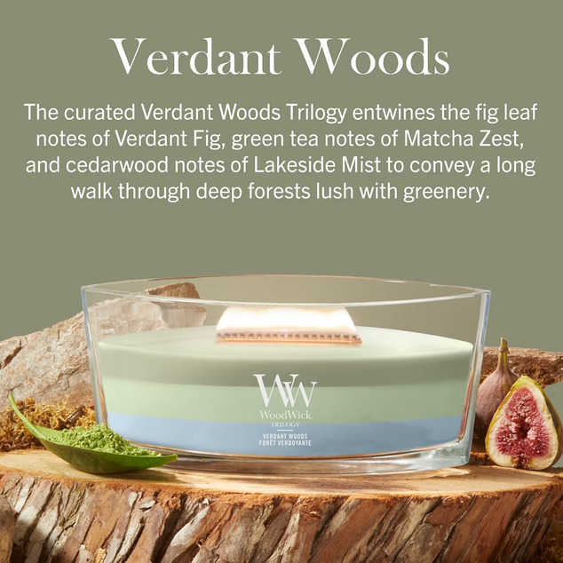 WW Trilogy Kerze Schiff Verdant Woods