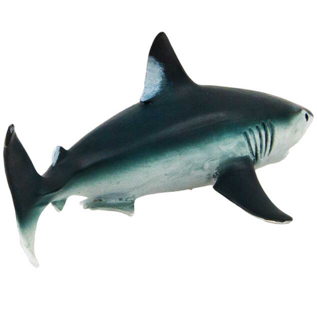 Safari®  Žralok porbeagle
