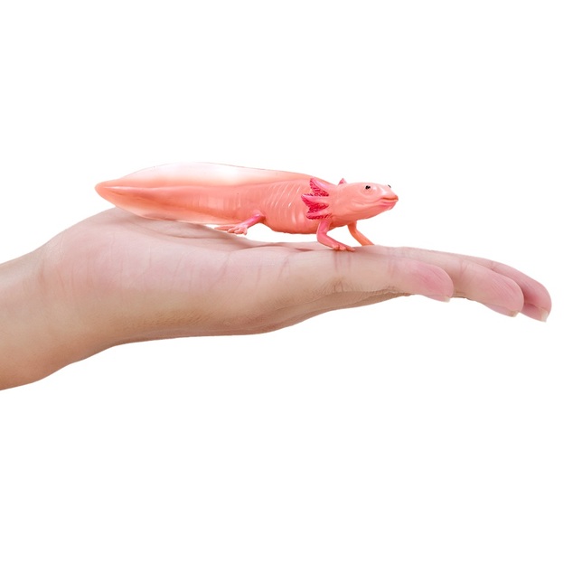 Mon Axolotl