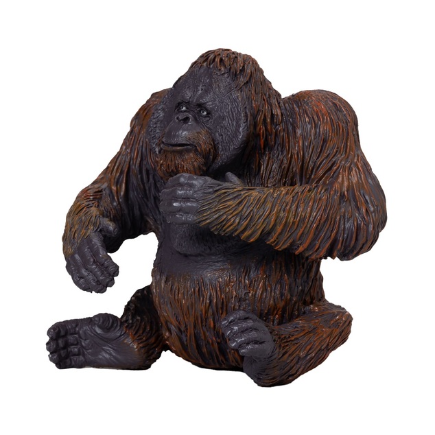 Moj orangutan