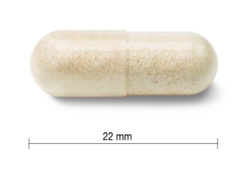 Jamieson Probiotic 60 Milliarden ULTRA STRENGTH 24 Tabletten