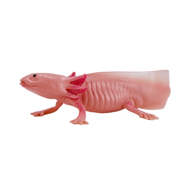 Mon Axolotl